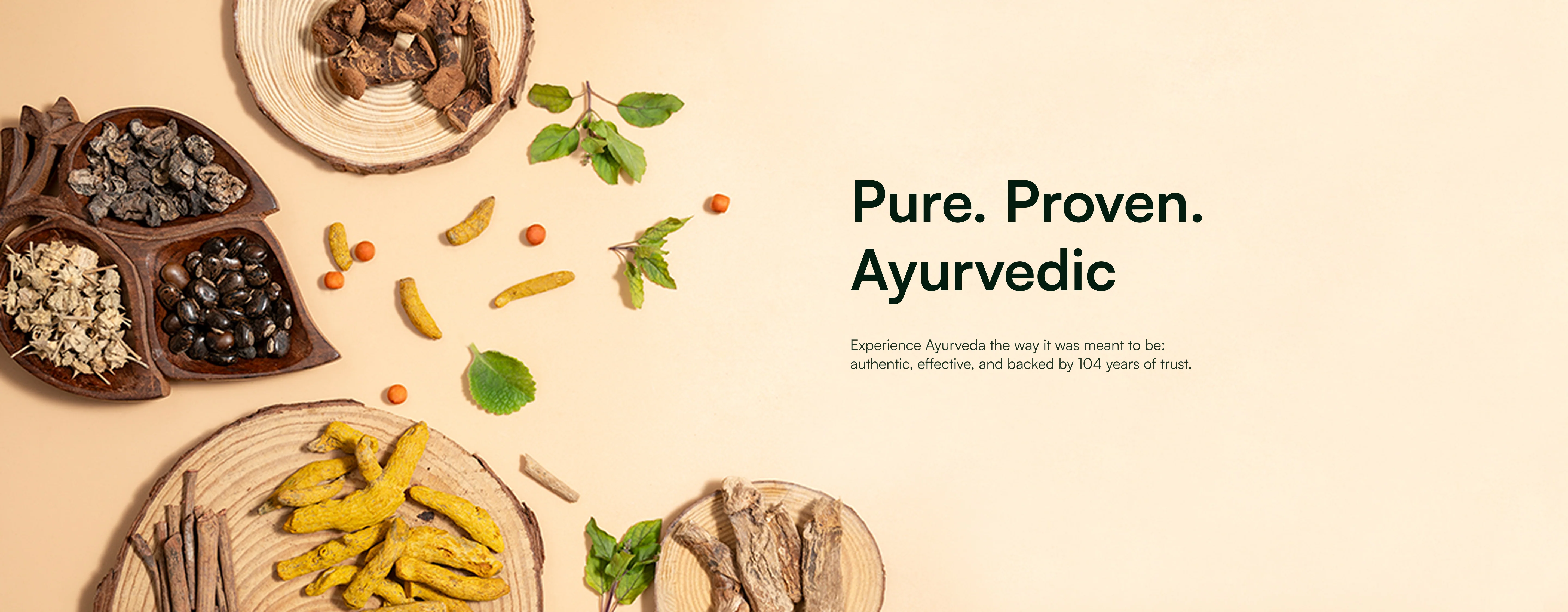 Timeless Wellness, Modern Vitality
