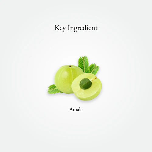 AMLA | 60 Capsules - Image 6