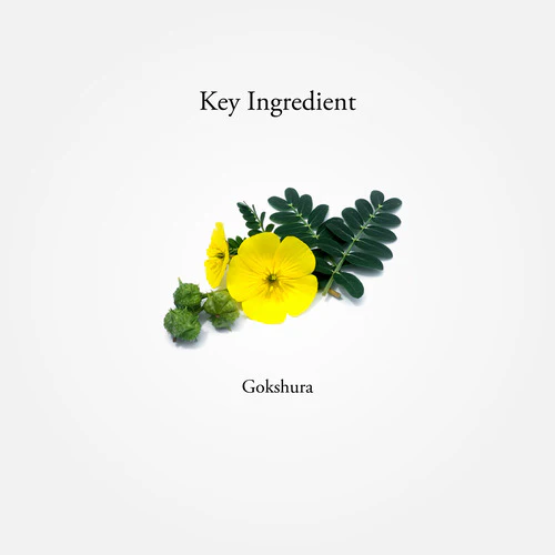GOKSHURA CAPSULES 60 NOS - Image 7