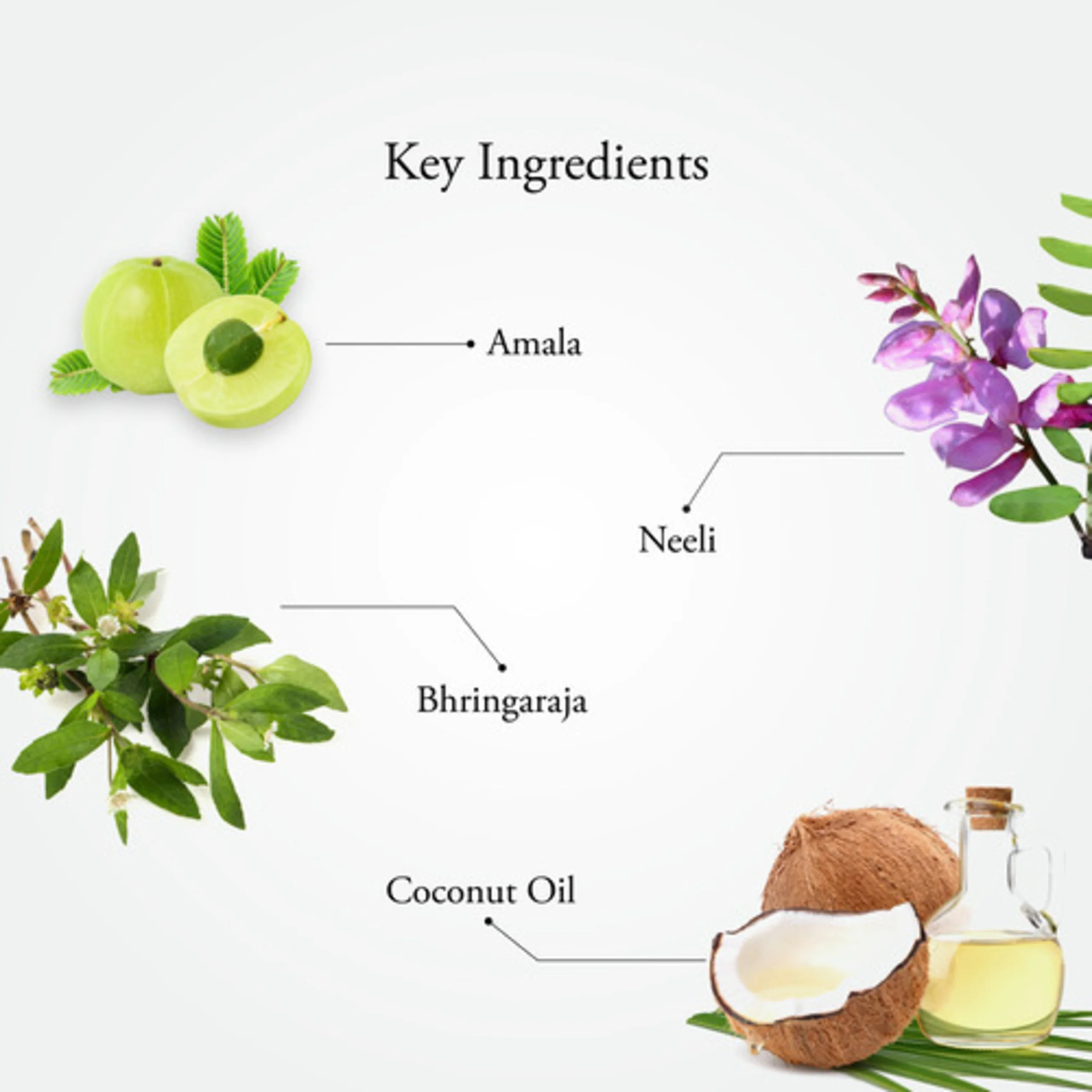 NEELIBHRINGADI HAIR OIL - Image 3